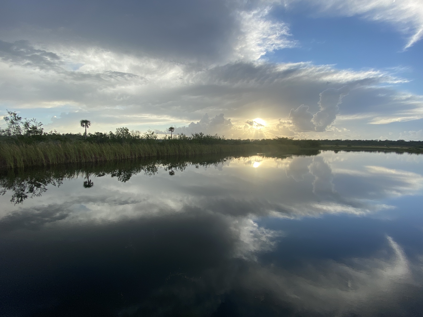 Wetlands in Everglades National Park